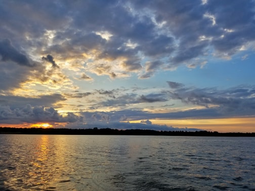 Longview Lake Report June 6, 2019 | Lee's Summit Area Fishing