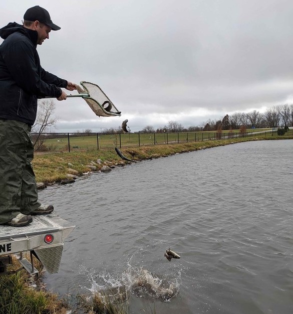 MDC trout stocking in KC Area lakes Lee's Summit Area Fishing
